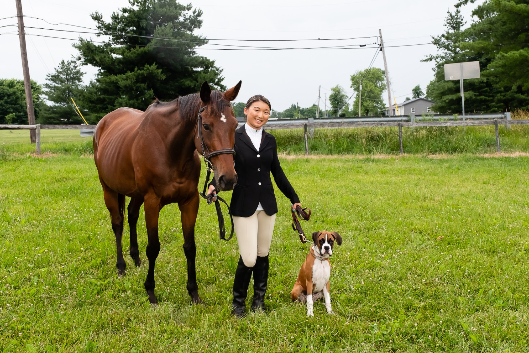 Equestrian portrait with dog